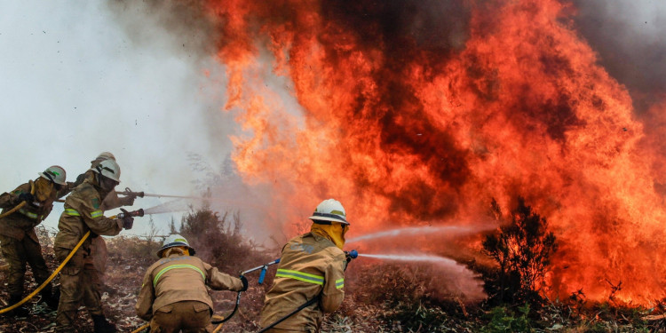 Portugal: lograron controlar el último foco del incendio