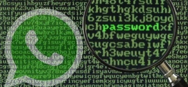 Ciberseguridad: los mensajes de WhatsApp podrían ser interceptados