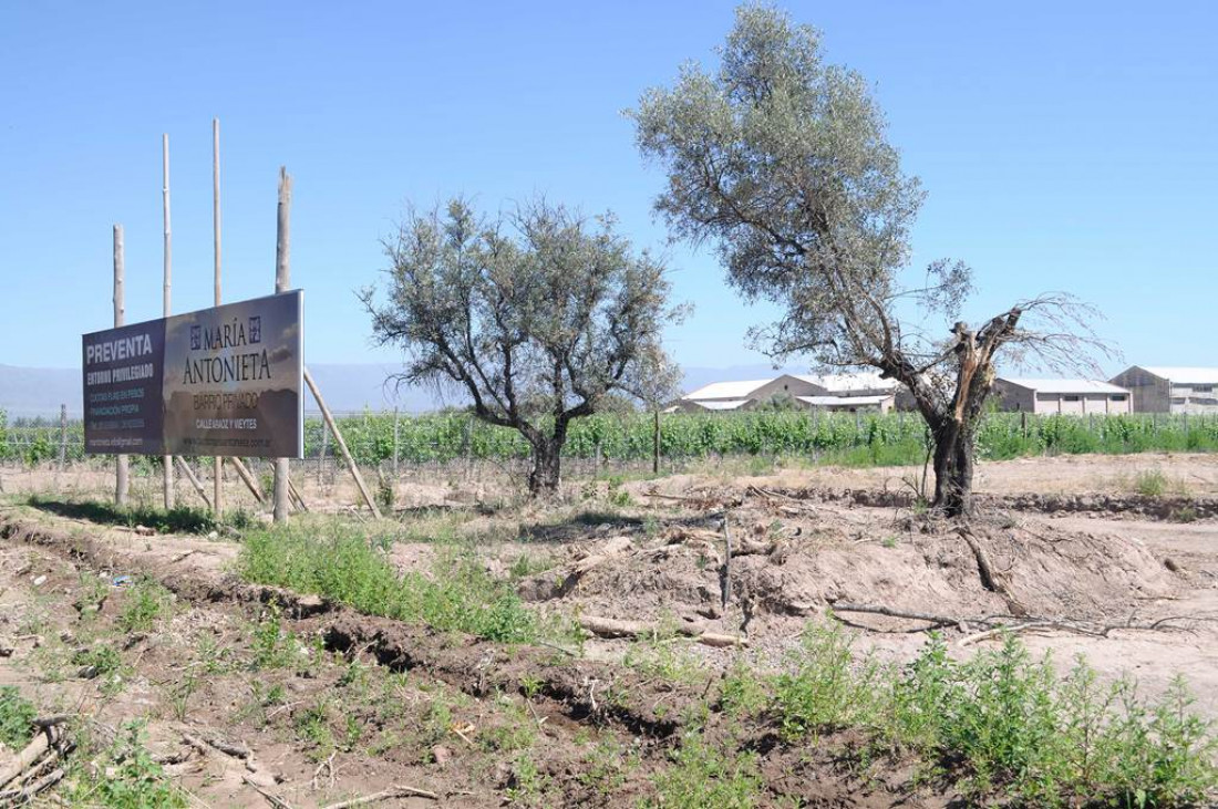 Las deudas del ordenamiento territorial: crear mecanismos de premios y castigos para pasar a la práctica