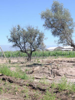 Las deudas del ordenamiento territorial: crear mecanismos de premios y castigos para pasar a la práctica