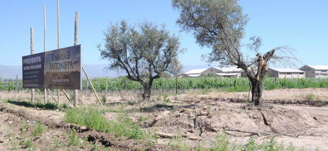 Las deudas del ordenamiento territorial: crear mecanismos de premios y castigos para pasar a la práctica