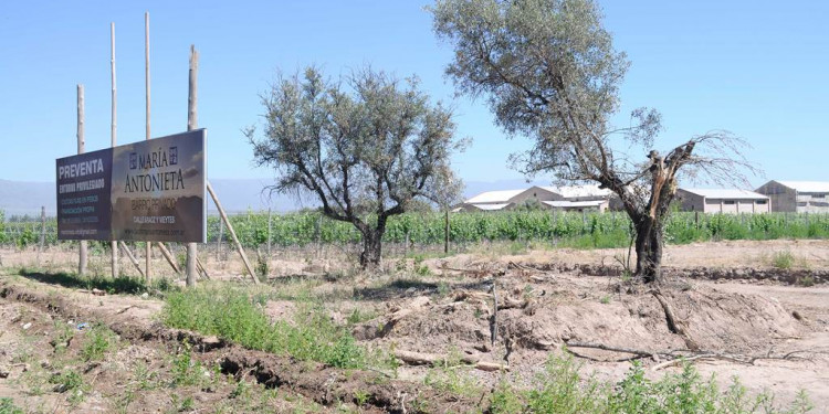 En marzo, las comunas deberán tener su plan de ordenamiento territorial