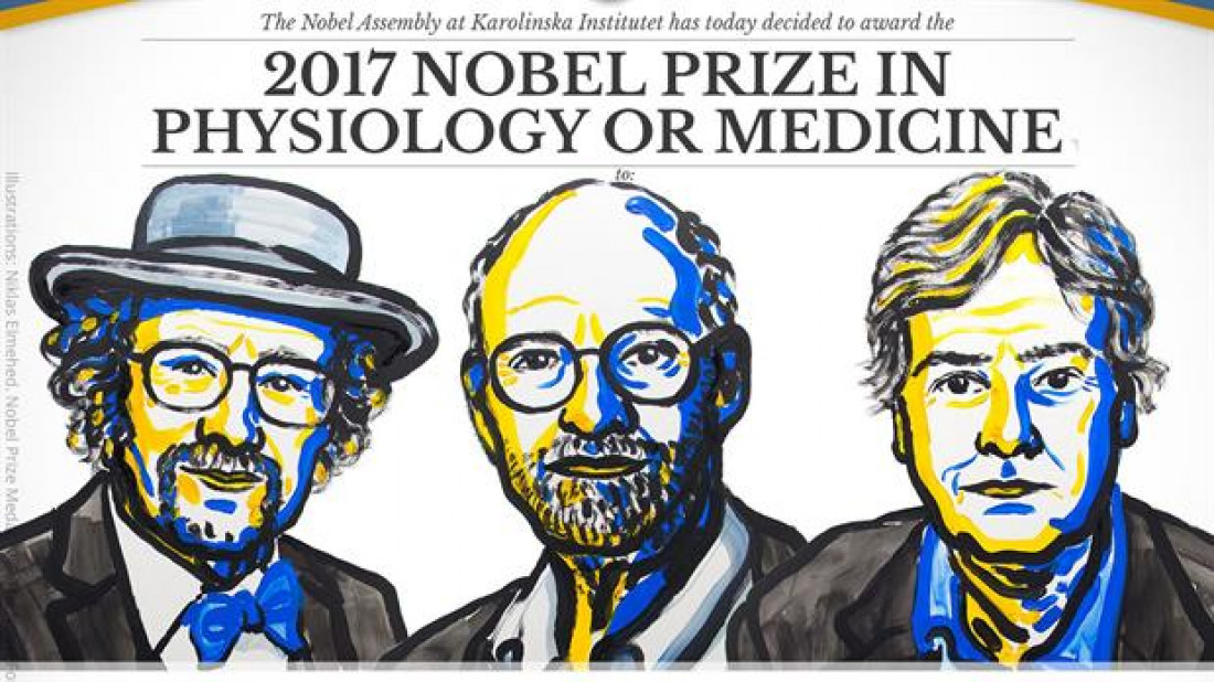 El Nobel de Medicina será para quienes descubrieron cómo funciona el "reloj biológico"
