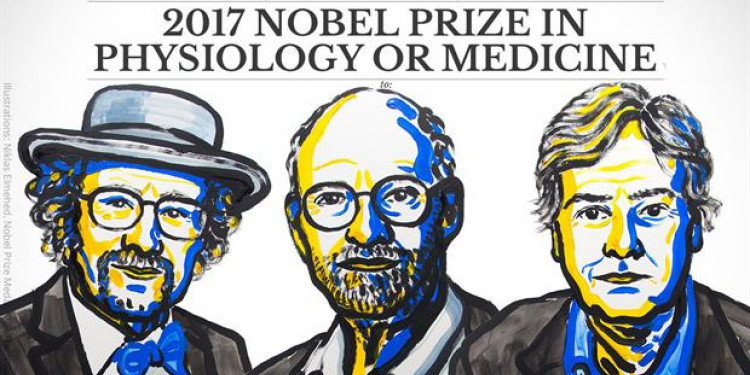 El Nobel de Medicina será para quienes descubrieron cómo funciona el "reloj biológico"