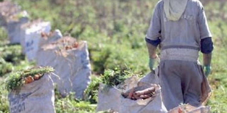 "Seguimos en deuda con los pobladores rurales"