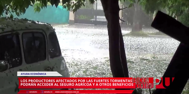 Ayuda a productores afectados por las tormentas