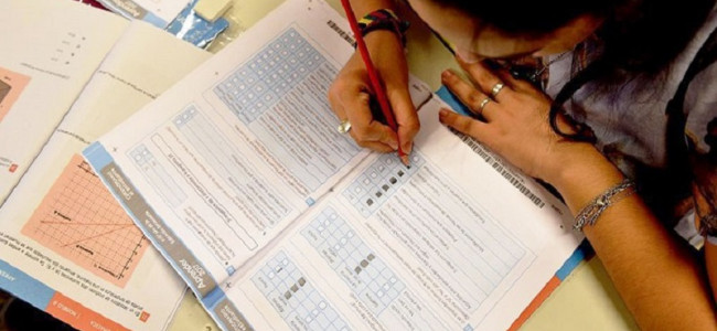 "Hoy, solo el 56% de los chicos del país alcanza los conocimientos mínimos de Lengua"