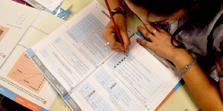 "Hoy, solo el 56% de los chicos del país alcanza los conocimientos mínimos de Lengua"