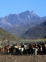 Mapuches o mapuches autopercibidos: el debate de su historia en Mendoza y los conflictos por la posesión de tierras