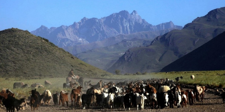 Mapuches o mapuches autopercibidos: el debate de su historia en Mendoza y los conflictos por la posesión de tierras