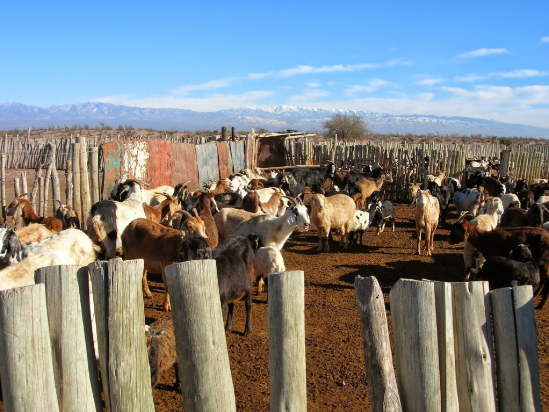 Hay que "desordenar" la lógica territorial para potenciar el suelo 