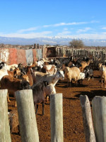 Hay que "desordenar" la lógica territorial para potenciar el suelo 