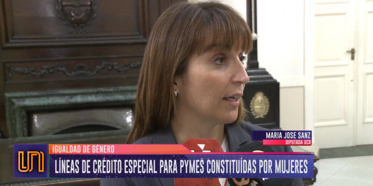 Proyecto para fortalecer a pymes constituidas por mujeres