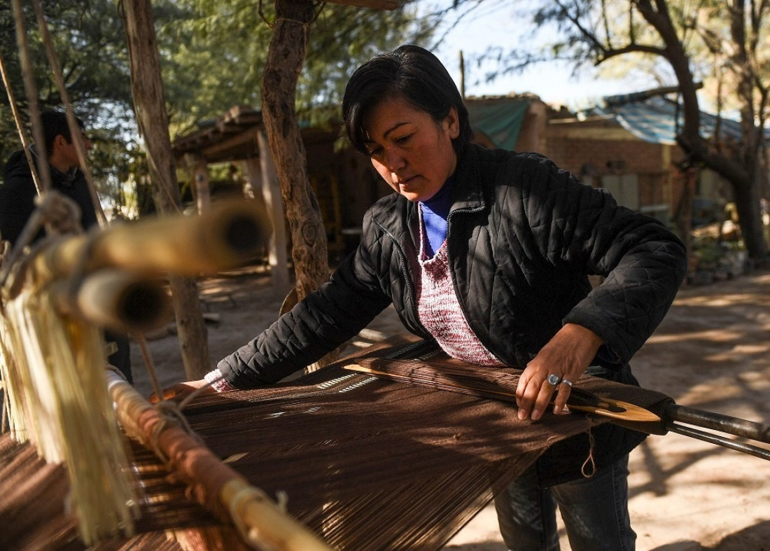 Los feminismos latinoamericanos reflejan "la composición de la diversidad y la riqueza de la población"