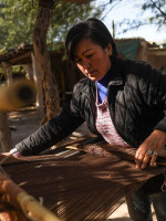 Los feminismos latinoamericanos reflejan "la composición de la diversidad y la riqueza de la población"