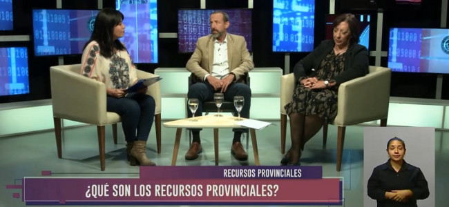 "La mayor parte de los recursos provinciales está integrada por Ingresos Brutos"