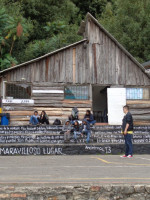 Red de Educación alternativa -REEVO-