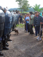 Jujuy: se aprobó la expropiación y las tomas aumentan