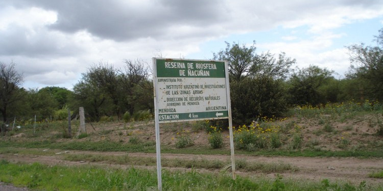 Quieren recuperar 300 hectáreas de bosques nativos en Mendoza