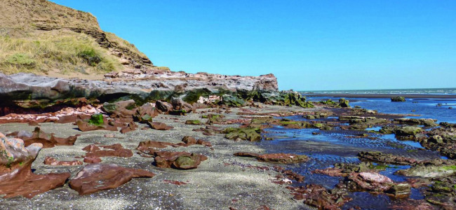 Las Reservas Naturales de la Defensa protegen más de 400 mil hectáreas de ecosistemas argentinos