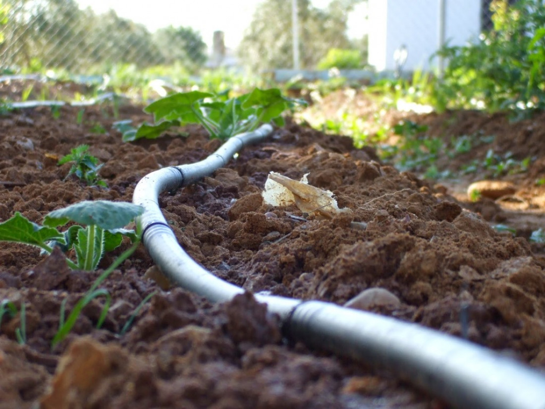 Seguí en vivo la Jornada Internacional de Riego y Uso de Agua con fines productivos