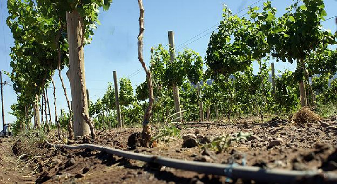 Mendoza Activa 4 apuesta a las energías renovables, la tecnología y la optimización del riego