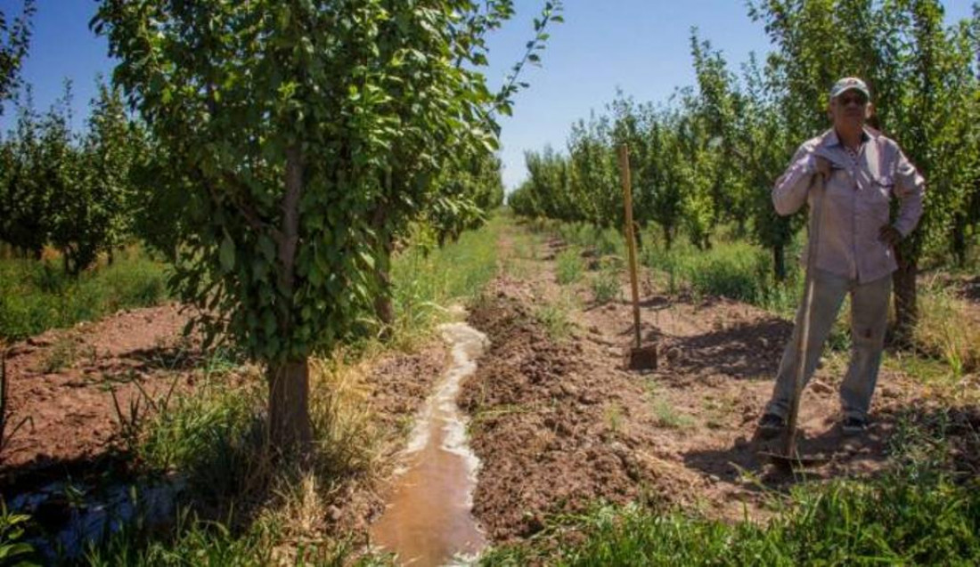 Irrigación: "No se puede cuadruplicar la zona irrigada en la provincia"