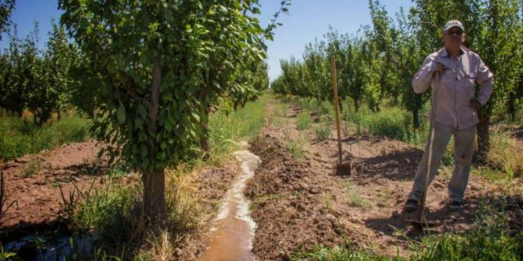 Irrigación: "No se puede cuadruplicar la zona irrigada en la provincia"