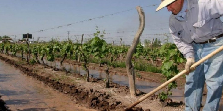 Financiamiento internacional para Irrigación: más de $600 millones en obras