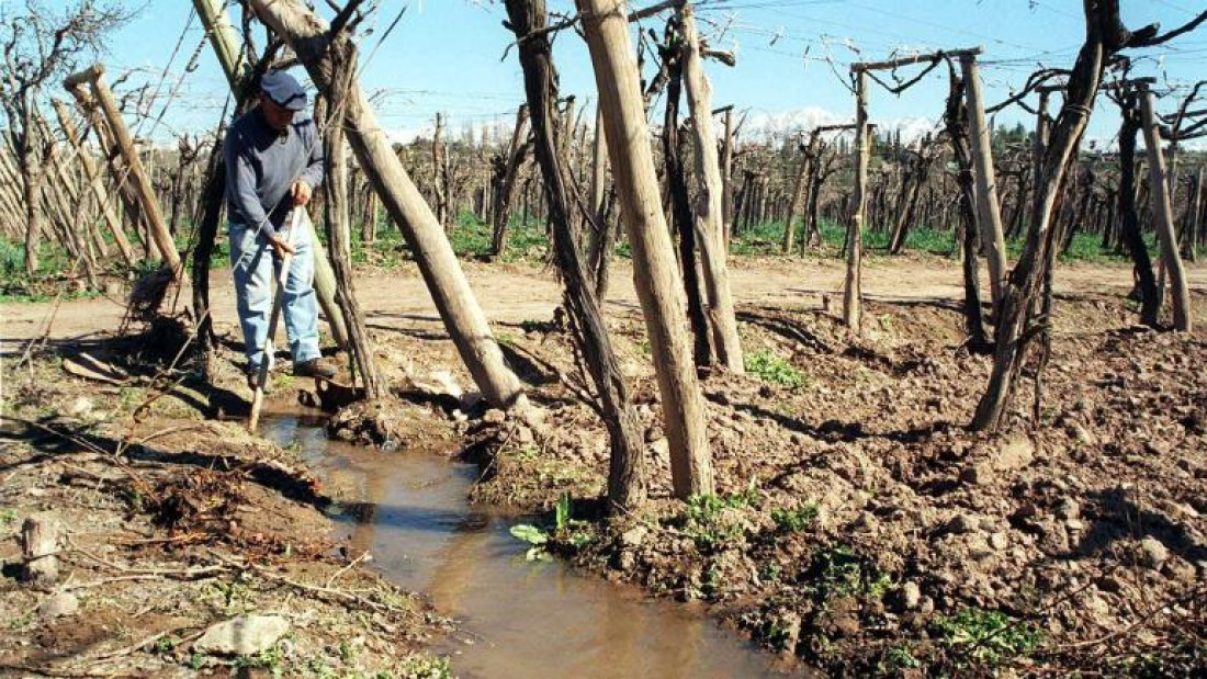 Buscan financiar con 500 millones de pesos el uso eficiente del agua de riego