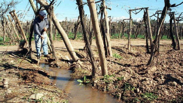 imagen Buscan financiar con 500 millones de pesos el uso eficiente del agua de riego