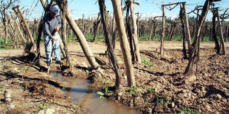 Buscan financiar con 500 millones de pesos el uso eficiente del agua de riego