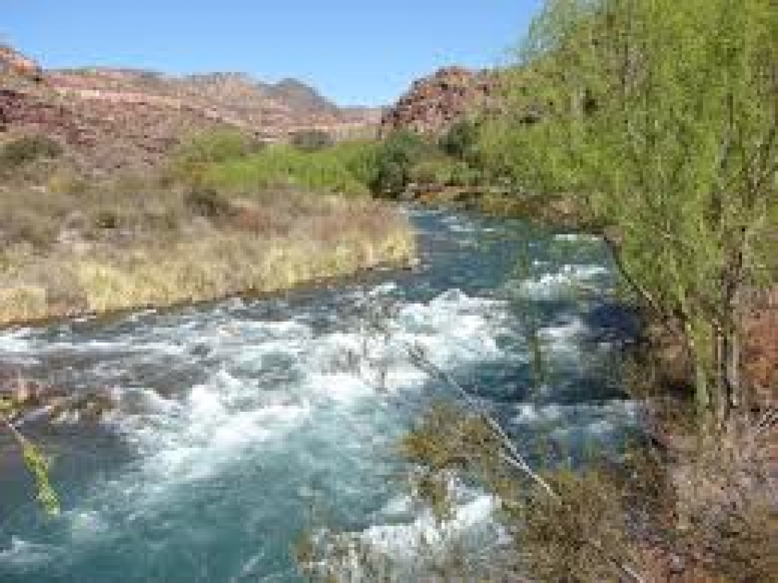 Conflictos por el Río Atuel