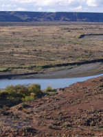 Hallaron un cuerpo en el río e investigan si es de Maldonado