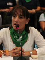 Rominá del Plá: "Vemos a diputados que cambian su voto o que piensan que la banca es de ellos"