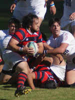 Quinta a fondo  