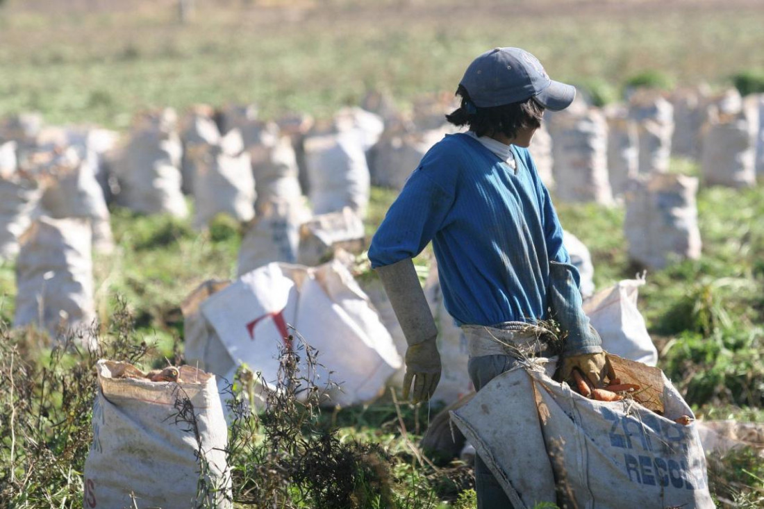 Peligra la continuidad de la Subsecretaría de Agricultura Familiar en Mendoza