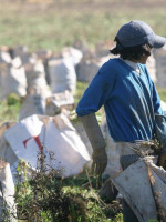 Peligra la continuidad de la Subsecretaría de Agricultura Familiar en Mendoza