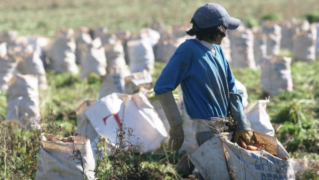 imagen Peligra la continuidad de la Subsecretaría de Agricultura Familiar en Mendoza