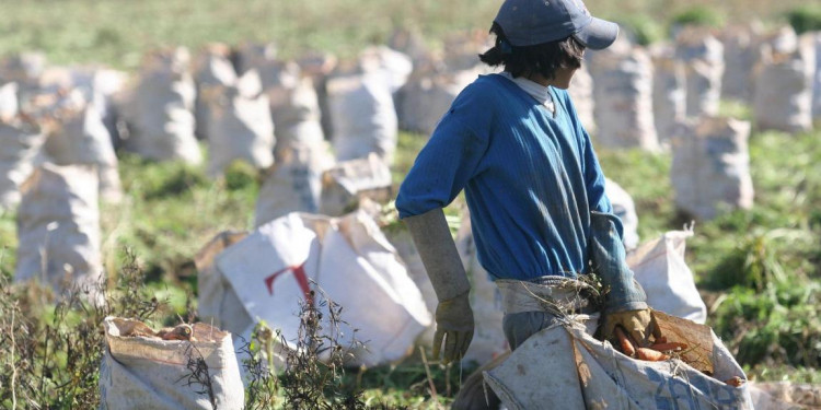 Peligra la continuidad de la Subsecretaría de Agricultura Familiar en Mendoza