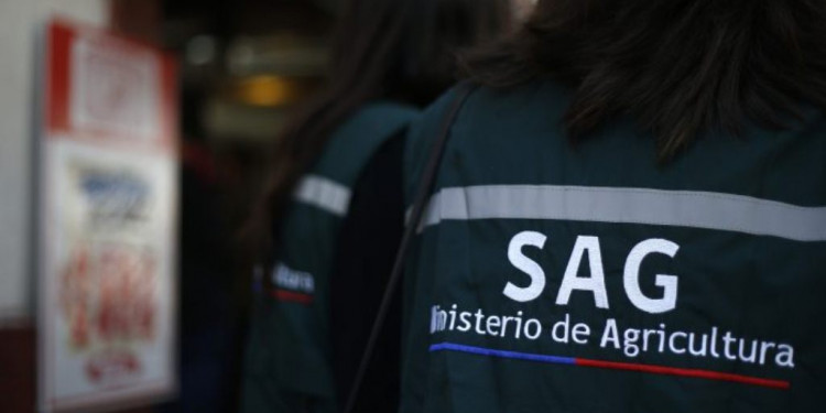 Peligra el Paso a Chile por un paro de trabajadores trasandinos