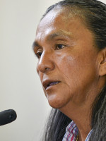 Por la "paz social", piden que Milagro Sala vuelva a la cárcel