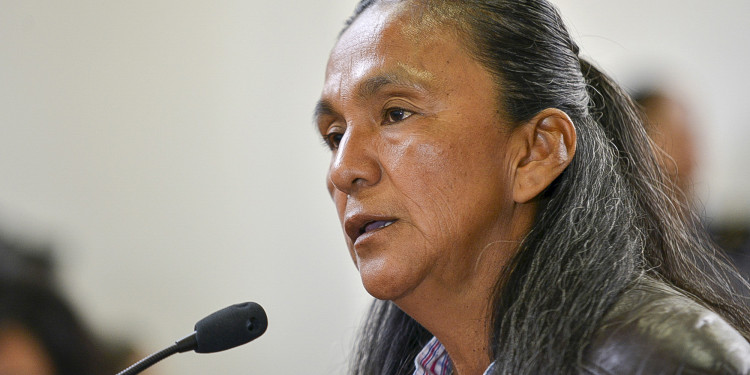 Por la "paz social", piden que Milagro Sala vuelva a la cárcel