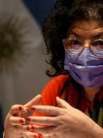 Vizzotti dijo que es fundamental tener "una especie de Ley Micaela de salud mental"