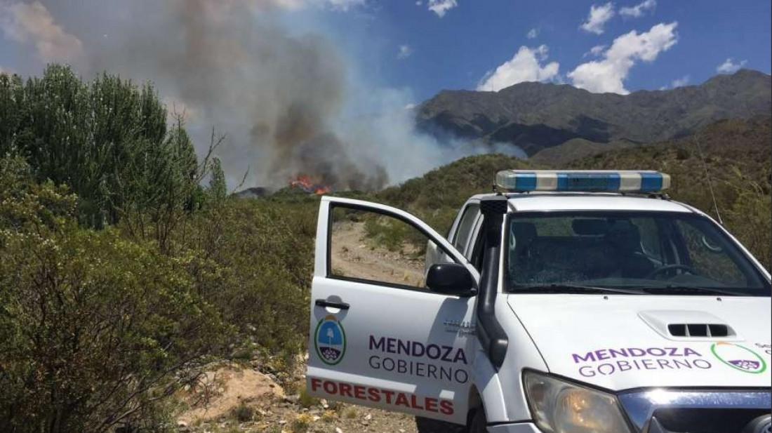 El calor provocó varios focos de incendio en la provincia