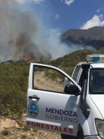El calor provocó varios focos de incendio en la provincia