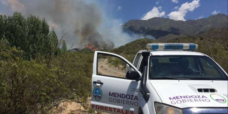 El calor provocó varios focos de incendio en la provincia