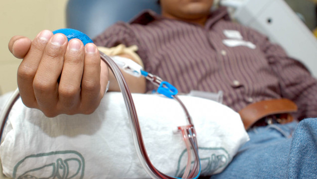 imagen Hoy se celebra el Día Nacional del Donante Voluntario de Sangre