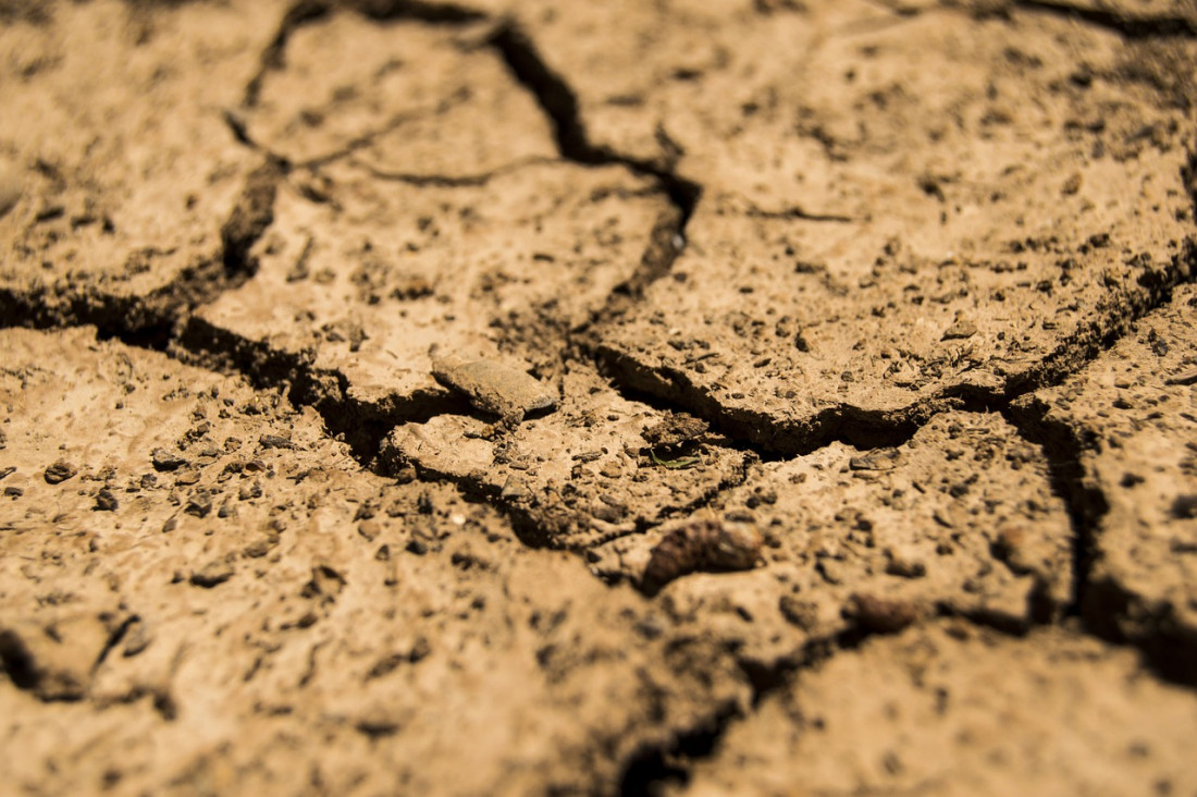 El efecto del hombre en el cambio climático y la urgencia de las energías renovables