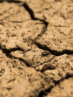 El efecto del hombre en el cambio climático y la urgencia de las energías renovables